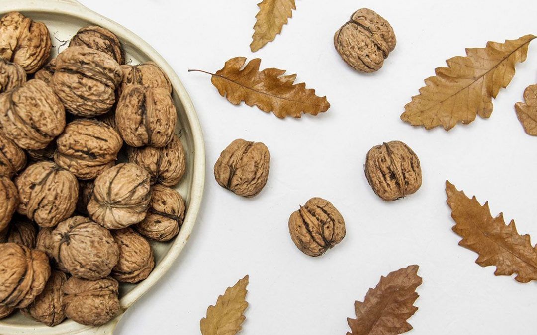La importancia de la grasa en la dieta