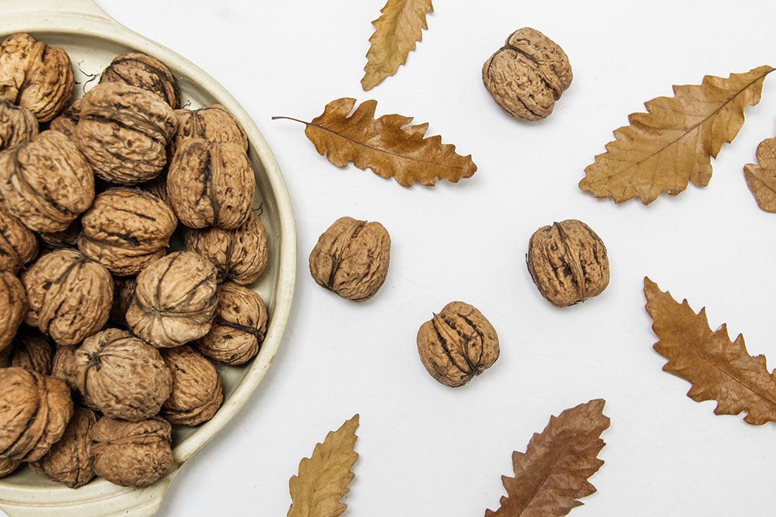nueces-1