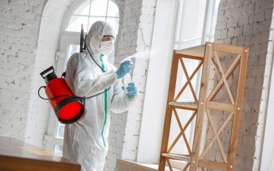Se dispara la demanda de máquinas de ozono contra el coronavirus
